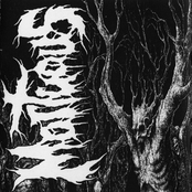 Mortuous - Demo 2012