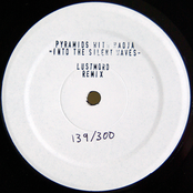 Into The Silent Waves (Remixes)