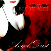 Night Of Sin by Blutengel