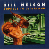 Tin Sings Bones by Bill Nelson
