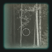 The Forest