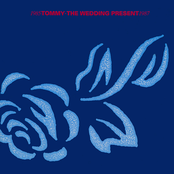 Felicity by The Wedding Present