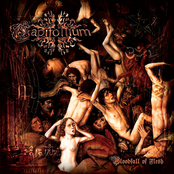 Bloodfall Of Flesh by Capitollium