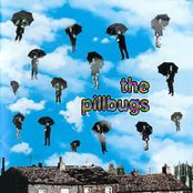 The Pillbugs