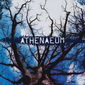 All My Life by Athenaeum