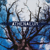 athenaeum