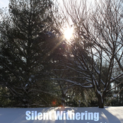 Silent Withering