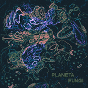 Planeta Fungi - EP