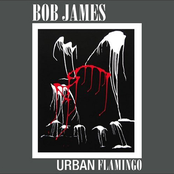 Urban Flamingo by Bob James