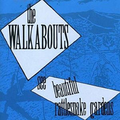 Robert Mcfarlane Blues by The Walkabouts