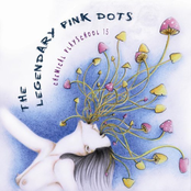 Ranting And Raving by The Legendary Pink Dots