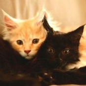 nobody is worth any time anymore