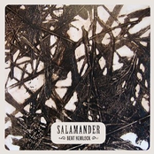 An Open Transom by Salamander