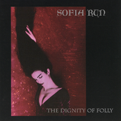 The Dignity Of Folly