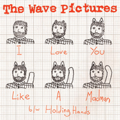 Holding Hands by The Wave Pictures