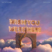 Wish You Were Here (feat. Wink XY)