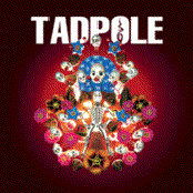 Too Hard by Tadpole