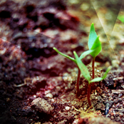 Foundations Compilation