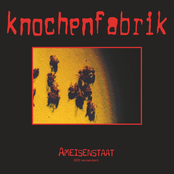 Ameisenstaat (2023 kernsaniert)