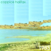 Bronze by Coppice Halifax