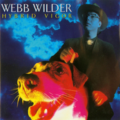 Webb Wilder: Hybrid Vigor