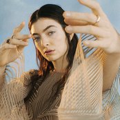 Lorde 的头像