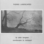 Fading Landscapes