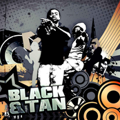 Black & Tan - Single