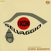 La Vita Continua by Gianni Marchetti