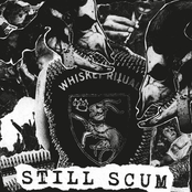Still Scum