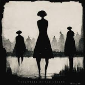 Chambers of the Cedars