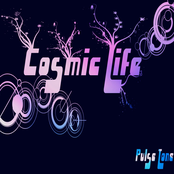 Cosmic Life