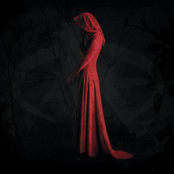 The Awakening: Chasm