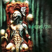 Before The Story Ends