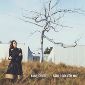 I Still Look for You