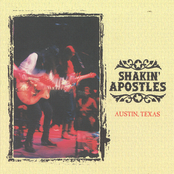 Distant Field by Shakin' Apostles