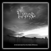 At The dark Gate From The Hidden Witeness