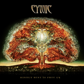 Infinite Shapes by Cynic