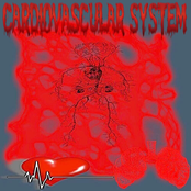 THE CARDIOVASCULAR SYSTEM