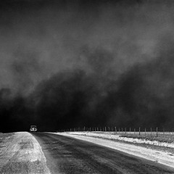 ze walrus