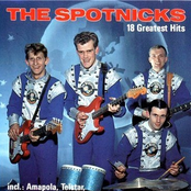 Why by The Spotnicks