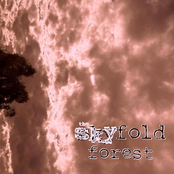 the skyfold forest