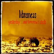 Yesterday... and Tomorrow's Shells