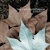 Everything Must Go by The Foreign Exchange