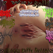 Bizarre Pussy Mutant (7 Way Split)