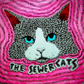 The Sewer Cats Demo