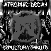 Sepultura Tribute
