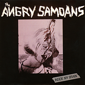Angry Samoans: Inside My Brain