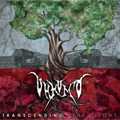 Transcending the Light