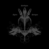 Myrra Mordvynn Marayaa